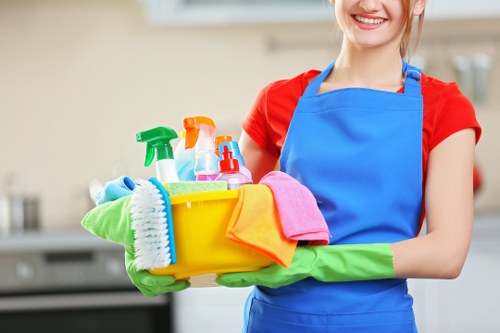 Professional-style deep cleaning tools for home maintenance