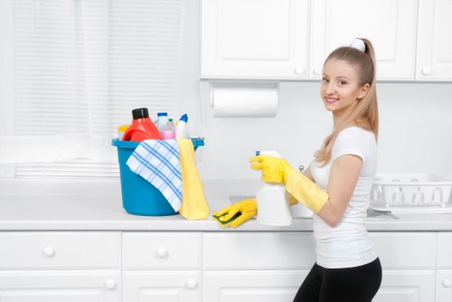 Deep cleaning tools used for rental property cleaning