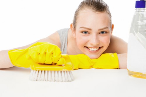 Professional mattress cleaning equipment used on a bed
