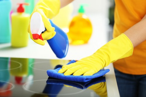 Domestic cleaning in a modern living room