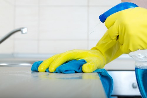 Spotting stains and odors on a used fabric sofa