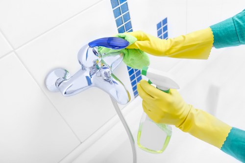 Kitchen cleaning supplies arranged for effective house cleaning