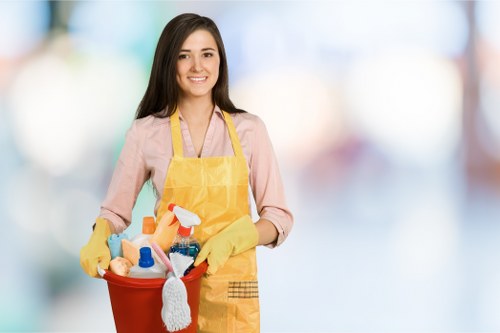 Bathroom domestic cleaning with deep cleaning focus