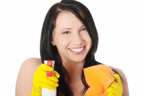 Professional sofa cleaning for deep stain and odor removal