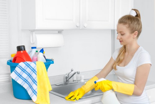 Kitchen domestic cleaning and surface sanitizing